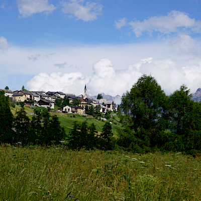 Guarda