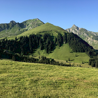 Gantrisch
