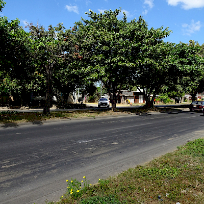 Avenida Bolivar