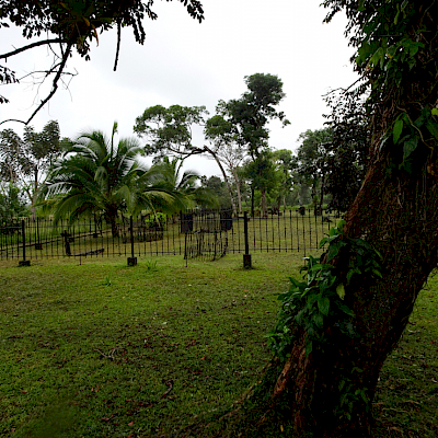 Greytown