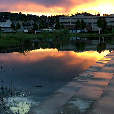 Liebefeld Park
