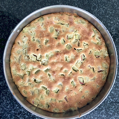 Rhabarber Kuchen