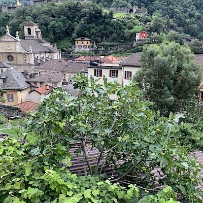 Bellinzona