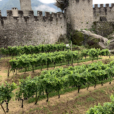 Bellinzona