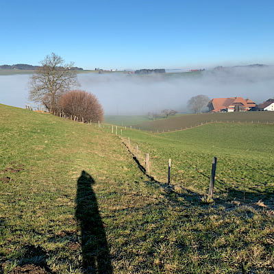 Niedermuhlern - Oberbalm