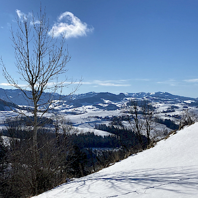 24.01.2021 - Ratzeberg