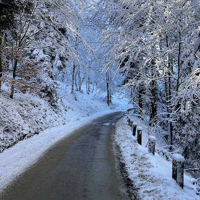 24.01.2021 - Ratzeberg