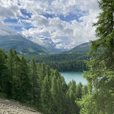 Sils Maria - Grevasalvas