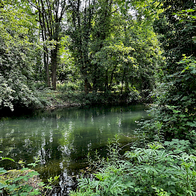 Rheinstrecke