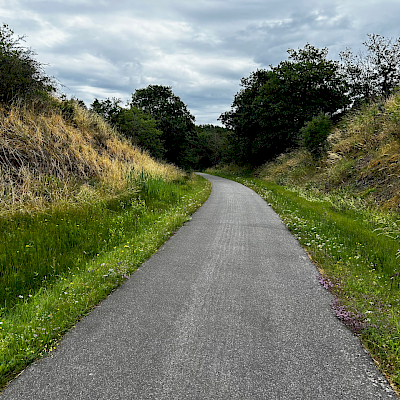 Arzfeld