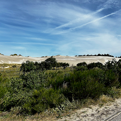 Bergen aan Zee