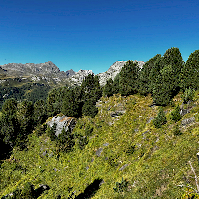 1. Alpe Casaccia