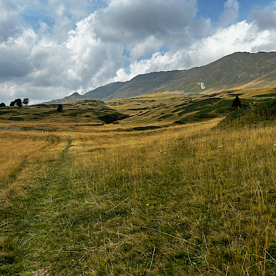 6. Croce Portera