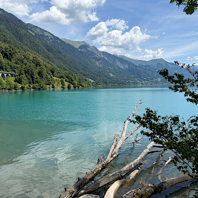 Brienzer See