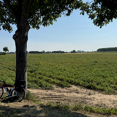zwischen Cremona und Modena - heiss!